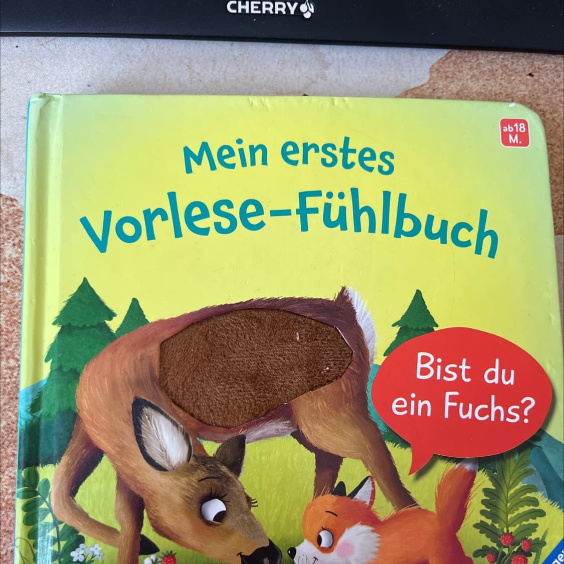Mein erstes Vorlese-Fühlbuch für Kinder ab 18 Monaten